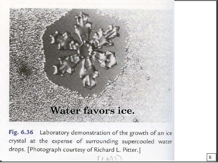 Water favors ice. 5 