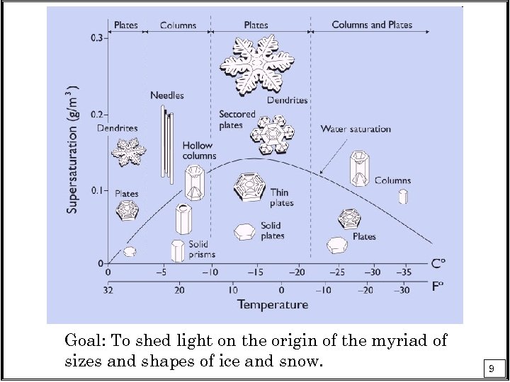 Goal: To shed light on the origin of the myriad of sizes and shapes