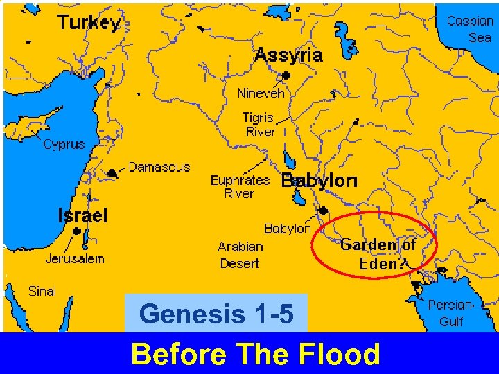 Genesis 1 -5 Before The Flood 