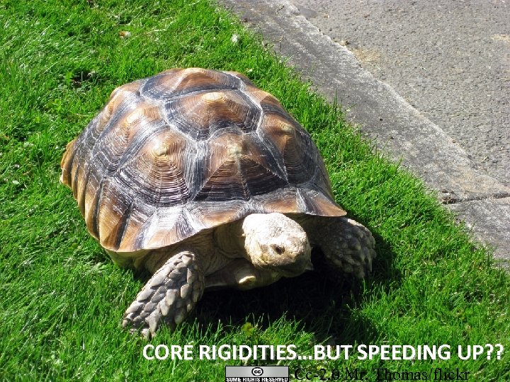 June 2010 CORE RIGIDITIES…BUT SPEEDING UP? ? Cc-2. 0 Mr. Thomas/flickr 