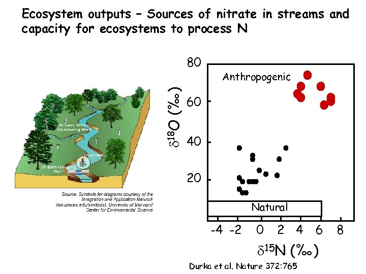 Ecosystem outputs – Sources of nitrate in streams and capacity for ecosystems to process
