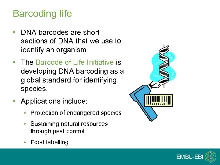 Barcoding life • DNA barcodes are short sections of DNA that we use to