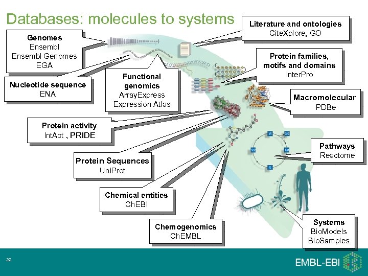 Databases: molecules to systems Genomes Ensembl Genomes EGA Nucleotide sequence ENA Functional genomics Array.