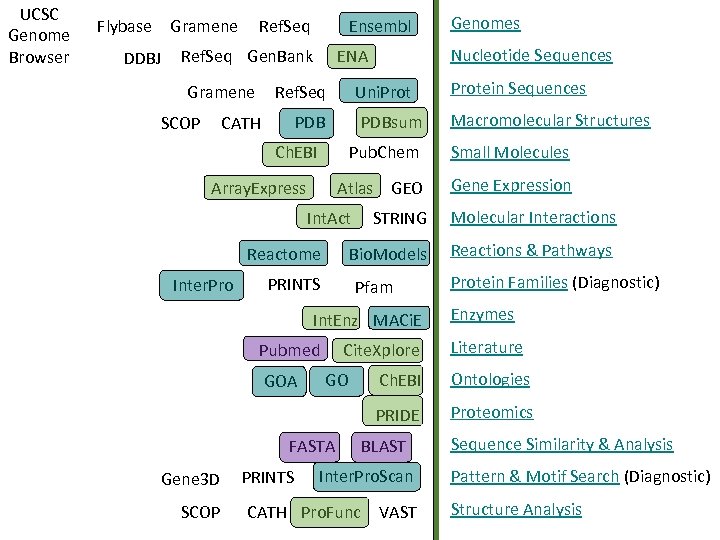 UCSC Genome Browser Flybase Gramene DDBJ Ref. Seq Ensembl Ref. Seq Gen. Bank Gramene