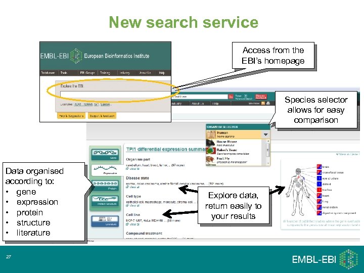 New search service Access from the EBI’s homepage Species selector allows for easy comparison