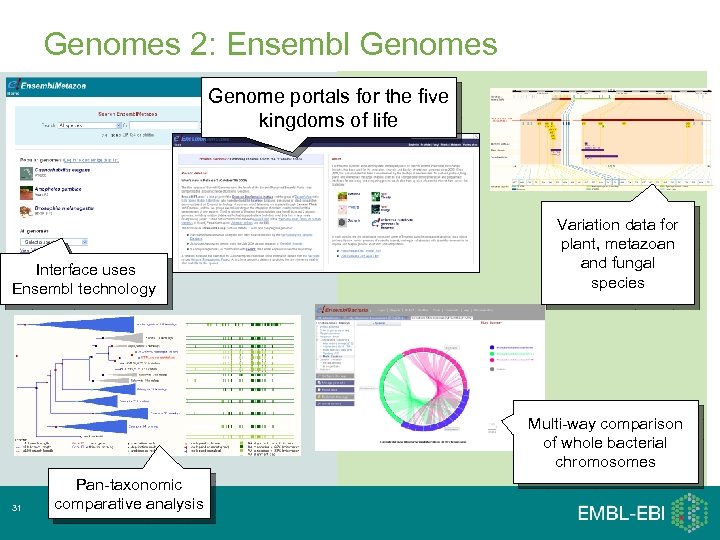 Genomes 2: Ensembl Genomes Genome portals for the five kingdoms of life Interface uses