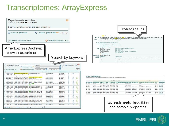 Transcriptomes: Array. Express Expand results Array. Express Archive: browse experiments Search by keyword Spreadsheets