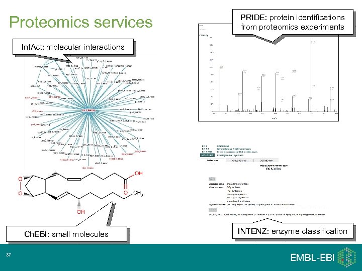 Proteomics services PRIDE: protein identifications from proteomics experiments Int. Act: molecular interactions Ch. EBI: