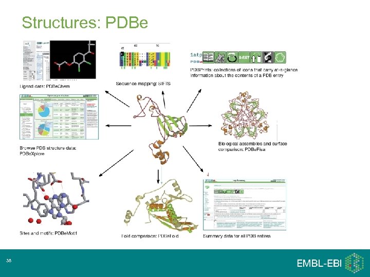 Structures: PDBe 38 