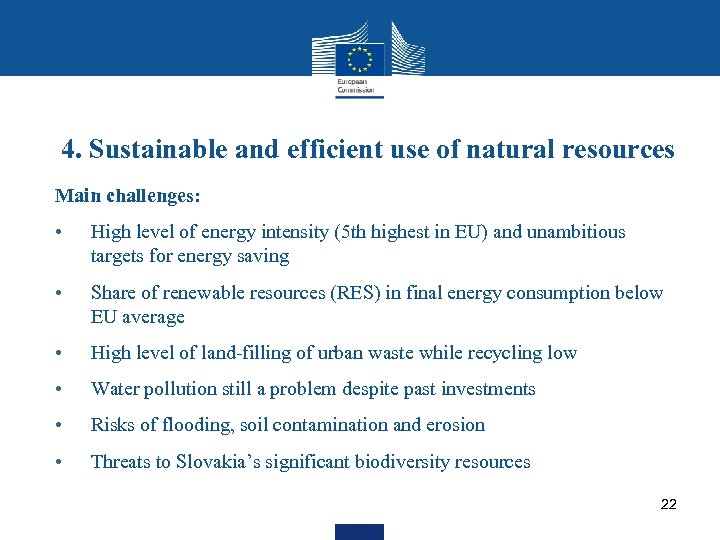 4. Sustainable and efficient use of natural resources Main challenges: • High level of