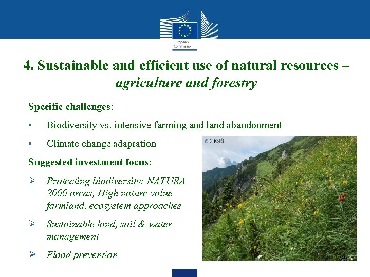 4. Sustainable and efficient use of natural resources – agriculture and forestry Specific challenges: