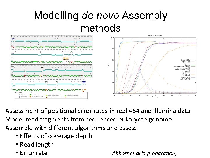 Modelling de novo Assembly methods Assessment of positional error rates in real 454 and
