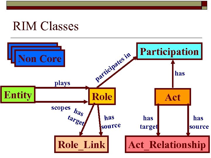RIM Classes Non Core plays Entity e n si at cip Participation rti a