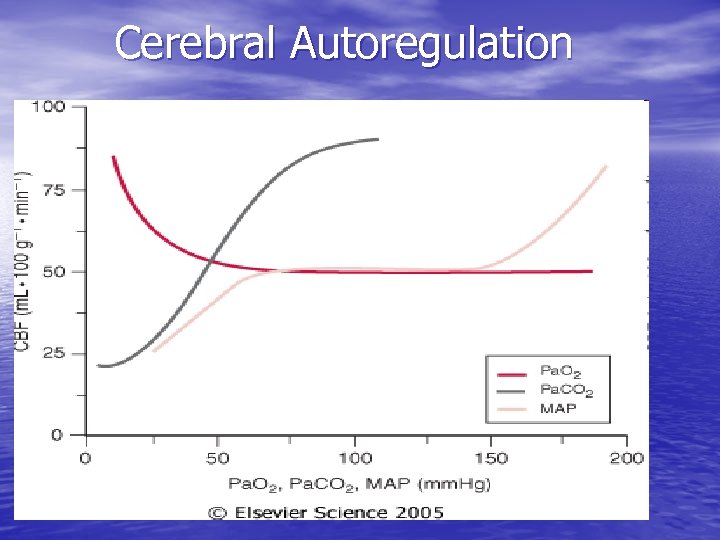 Cerebral Autoregulation 