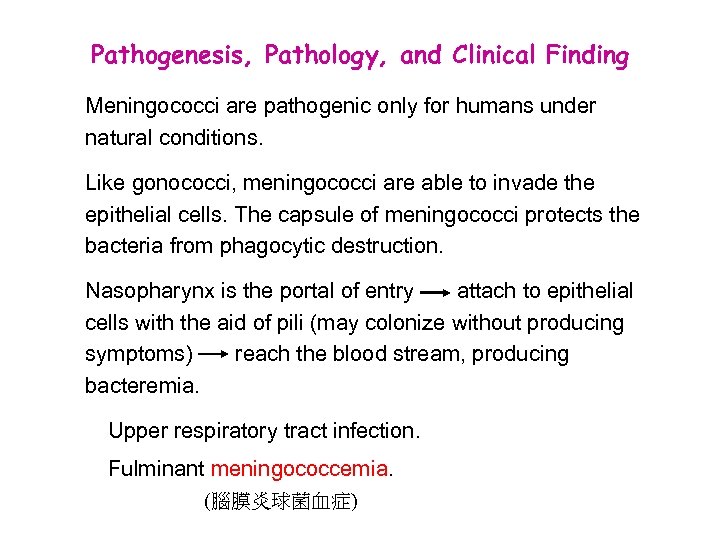 Pathogenesis, Pathology, and Clinical Finding Meningococci are pathogenic only for humans under natural conditions.