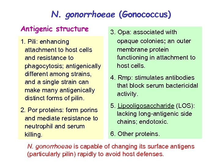 N. gonorrhoeae (Gonococcus) Antigenic structure 1. Pili: enhancing attachment to host cells and resistance