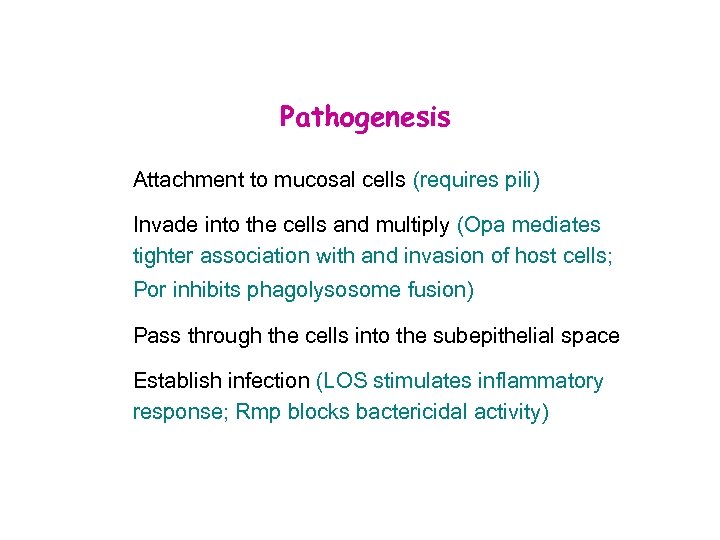 Pathogenesis Attachment to mucosal cells (requires pili) Invade into the cells and multiply (Opa
