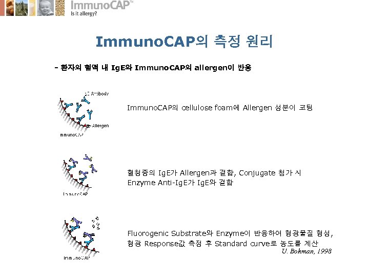 Immuno. CAP의 측정 원리 - 환자의 혈액 내 Ig. E와 Immuno. CAP의 allergen이 반응