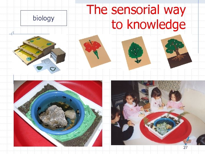 biology The sensorial way to knowledge 27 