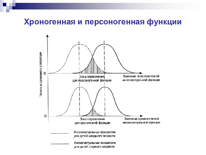 Хроногенная и персоногенная функции 