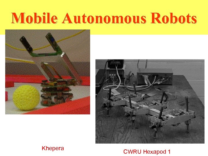 Mobile Autonomous Robots Khepera CWRU Hexapod 1 