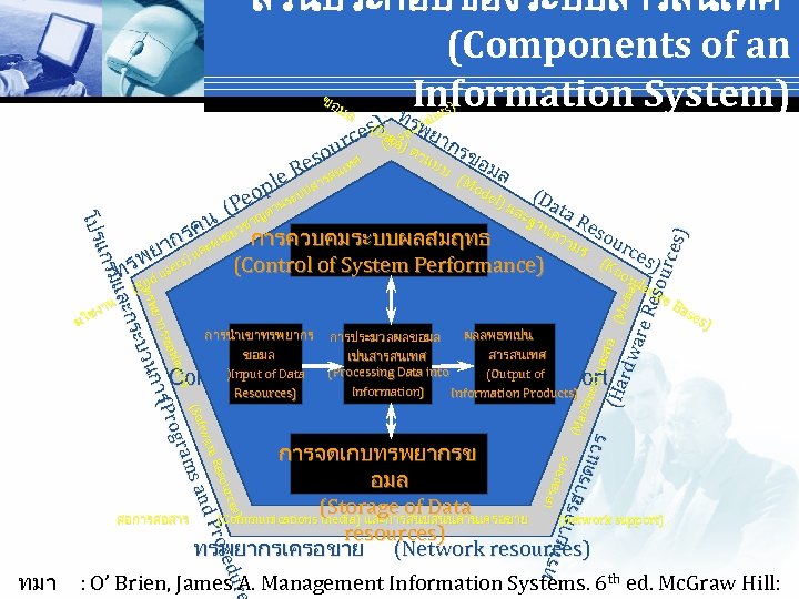 สวนประกอบของระบบสารสนเทศ (Components of an Information System) : ท ขอ มล ts) l )a peพaยis