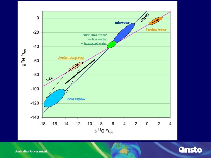 L W rainwater M G Surface water Root zone water = stem water =