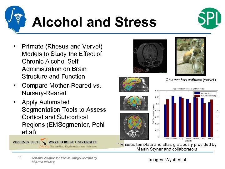Alcohol and Stress • Primate (Rhesus and Vervet) Models to Study the Effect of