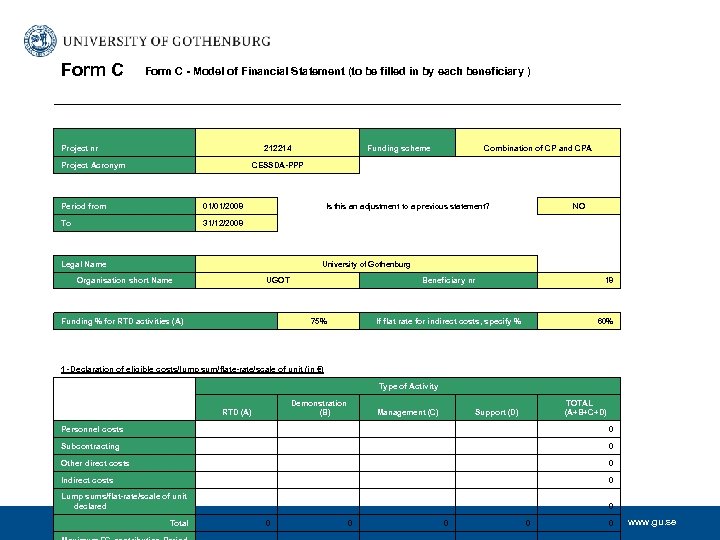 Form C - Model of Financial Statement (to be filled in by each beneficiary