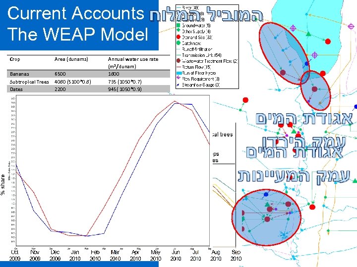 Current Accounts המוביל המלוח The WEAP Model Crop Area (dunams) Bananas Subtropical Trees Dates