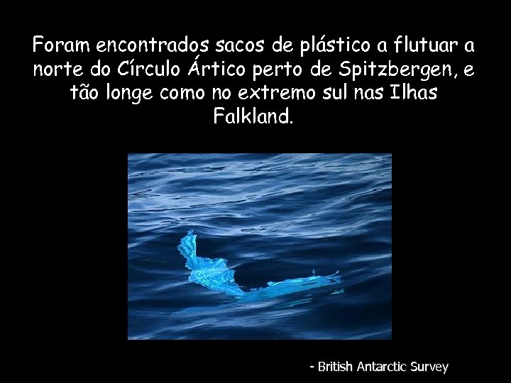 Foram encontrados sacos de plástico a flutuar a norte do Círculo Ártico perto de