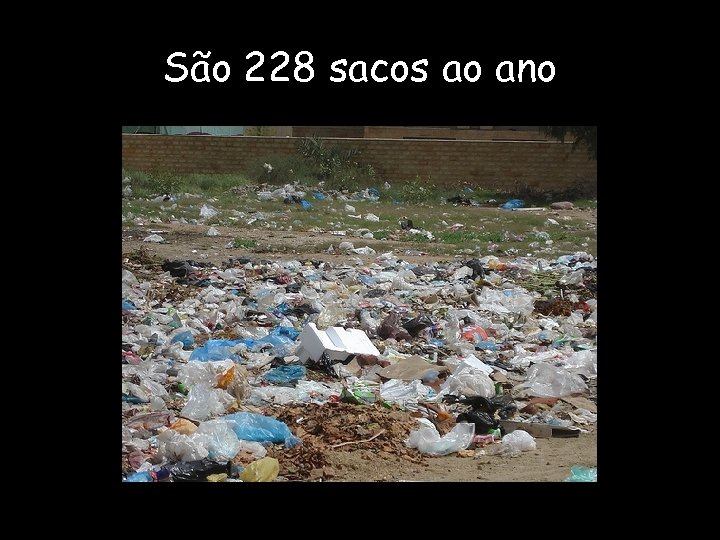 São 228 sacos ao ano 