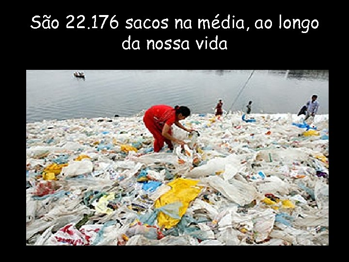 São 22. 176 sacos na média, ao longo da nossa vida 