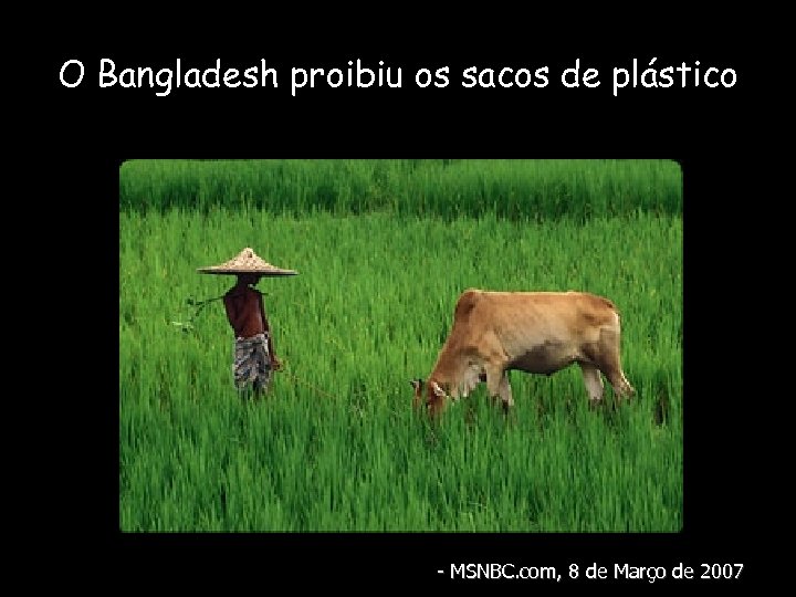 O Bangladesh proibiu os sacos de plástico - MSNBC. com, 8 de Março de