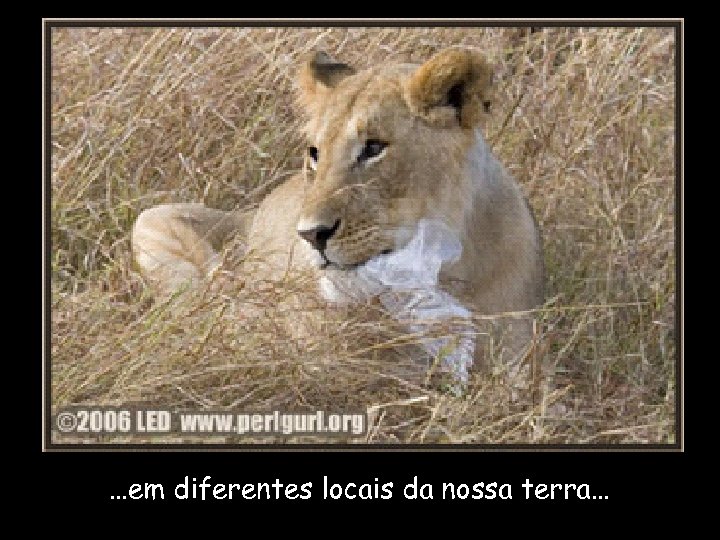 …em diferentes locais da nossa terra… 
