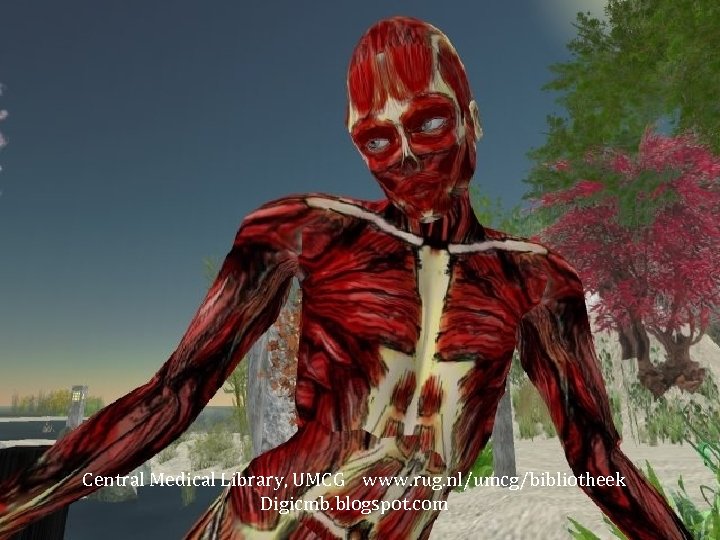 Central Medical Library, UMCG www. rug. nl/umcg/bibliotheek Digicmb. blogspot. com 