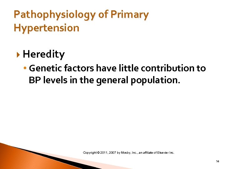 Pathophysiology of Primary Hypertension Heredity • Genetic factors have little contribution to BP levels