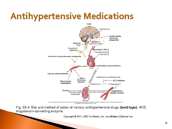 Antihypertensive Medications Fig. 33 4. Site and method of action of various antihypertensive drugs