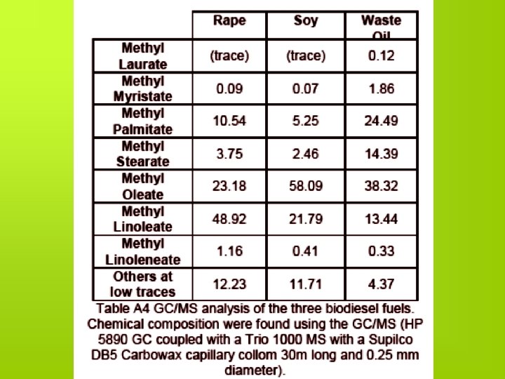 Prof. Dr. Mohamed M. El-Kassaby 