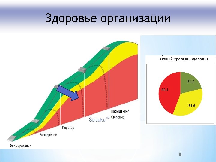 Здоровье организации 8 