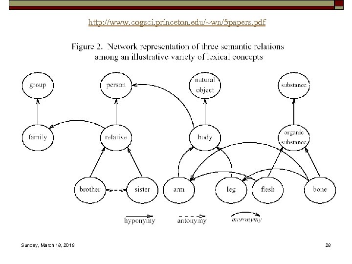 http: //www. cogsci. princeton. edu/~wn/5 papers. pdf Sunday, March 18, 2018 28 