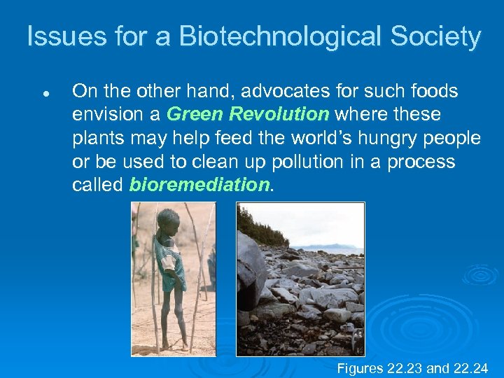 Issues for a Biotechnological Society l On the other hand, advocates for such foods