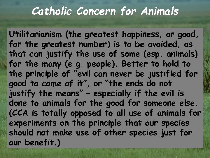 Catholic Concern for Animals Utilitarianism (the greatest happiness, or good, for the greatest number)