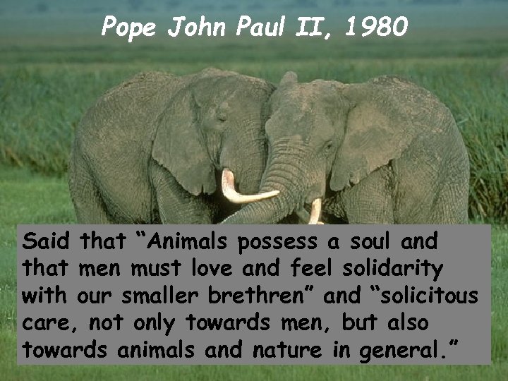 Pope John Paul II, 1980 Said that “Animals possess a soul and that men