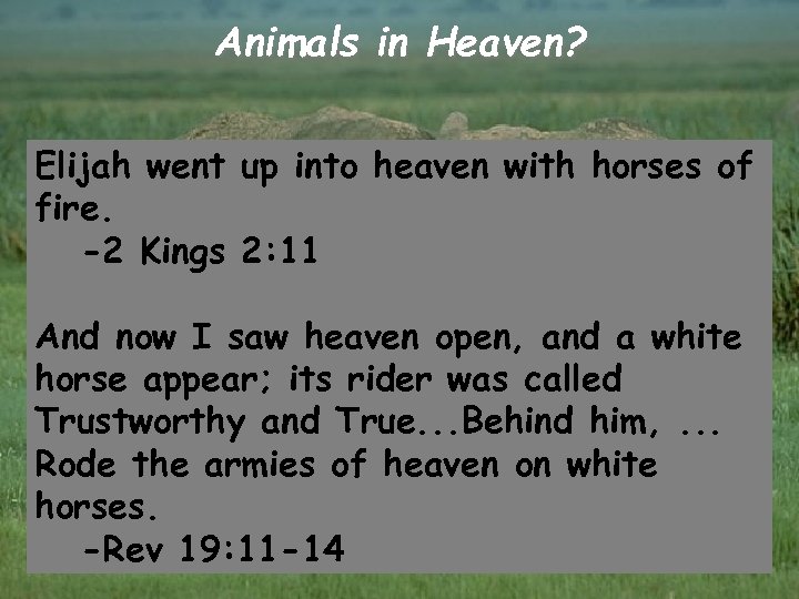 Animals in Heaven? Elijah went up into heaven with horses of fire. -2 Kings