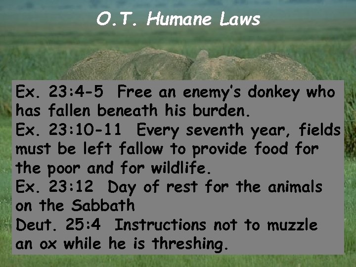 O. T. Humane Laws Ex. 23: 4 -5 Free an enemy’s donkey who has