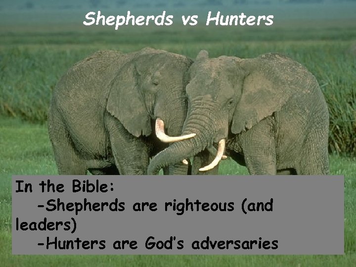 Shepherds vs Hunters In the Bible: -Shepherds are righteous (and leaders) -Hunters are God’s