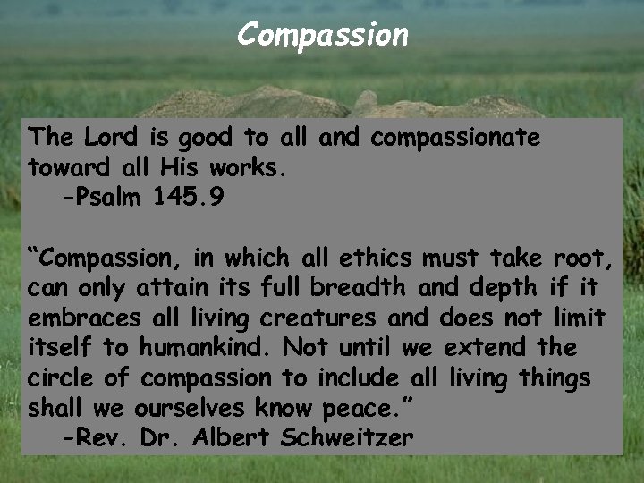 Compassion The Lord is good to all and compassionate toward all His works. -Psalm