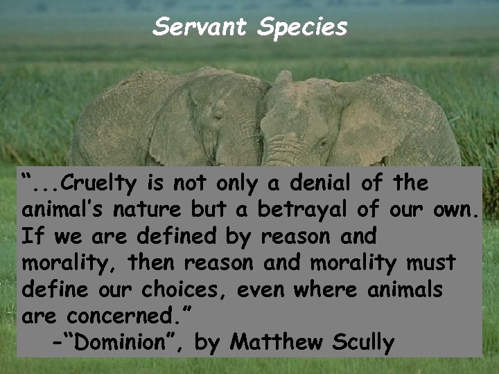 Servant Species “. . . Cruelty is not only a denial of the animal’s