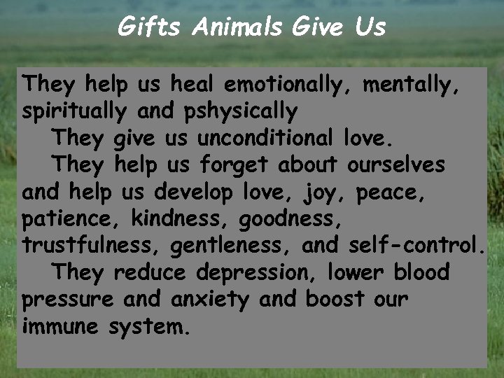 Gifts Animals Give Us They help us heal emotionally, mentally, spiritually and pshysically They